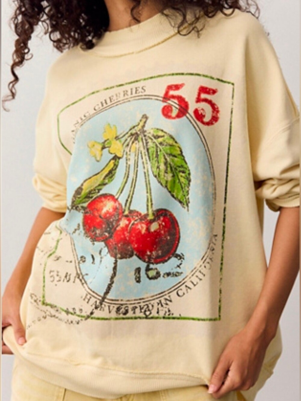 We The Free Palm Spring Turtleneck Graphic Pullover ~ Cherry Combo